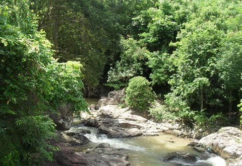 Người nhà nạn nhân MH370 an ủi thân nhân hành khách MH17