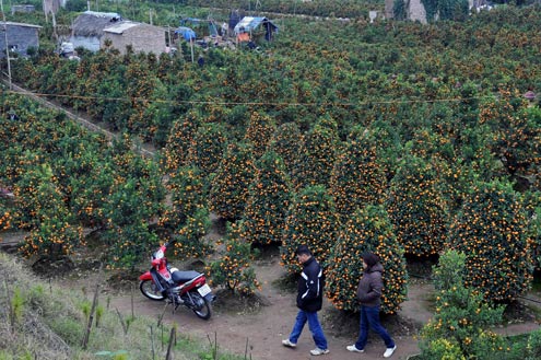 Người nhà nạn nhân MH370 an ủi thân nhân hành khách MH17