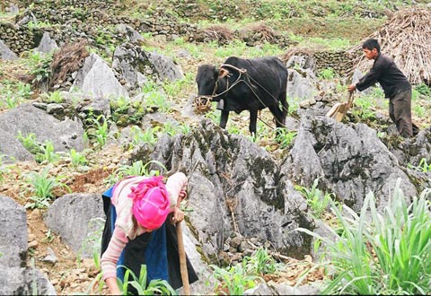 Người nhà nạn nhân MH370 an ủi thân nhân hành khách MH17