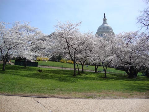 Người nhà nạn nhân MH370 an ủi thân nhân hành khách MH17