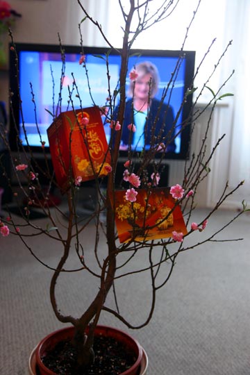 Người nhà nạn nhân MH370 an ủi thân nhân hành khách MH17