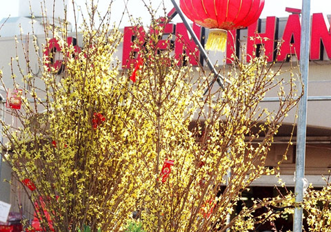 Người nhà nạn nhân MH370 an ủi thân nhân hành khách MH17