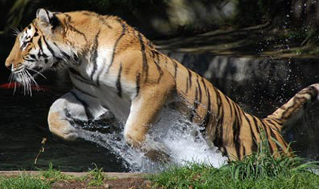 Người nhà nạn nhân MH370 an ủi thân nhân hành khách MH17