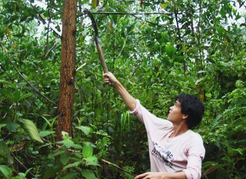 Người nhà nạn nhân MH370 an ủi thân nhân hành khách MH17